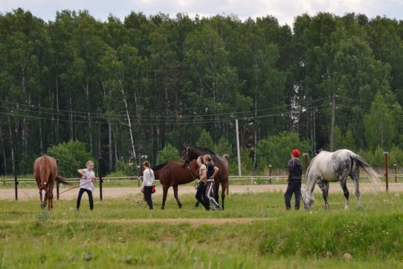 Для спортшколы по конному спорту предполагается построить новую конюшню. Фото: пресс-служба администрации города.