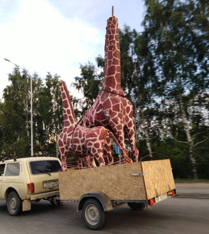 Жирафов увезли на ремонт. Фото: Татьяна ТРОШКОВА, В Контакте.