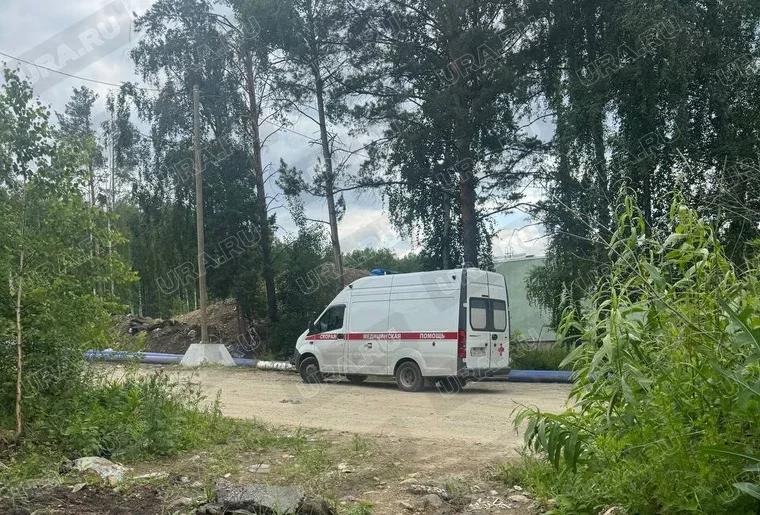 В лесу Екатеринбурга обнаружили труп. Фото
